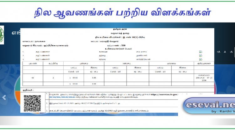 பட்டா சிட்டா அடங்கல் என்றால் என்ன? நில ஆவணங்கள் பற்றிய விளக்கங்கள்..